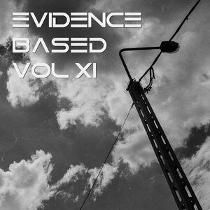 cover image of Evidence Based Vol. 11 on Triple Vision Music Group