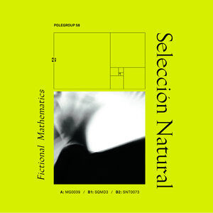 cover image Seleccion Natural Fictional Mathematics Polegroup