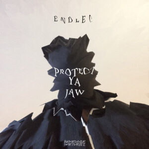 cover image of Protect Ya Jaw by Endlec on Renegade Methodz