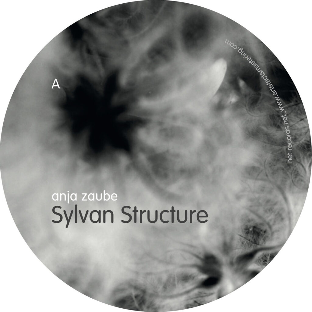 cover image of Sylvan Structure by Anja Zaube on HET