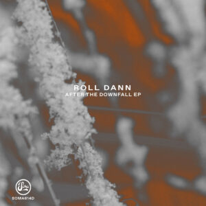 cover image of AFTER THE DOWNFALL by ROLL DANN on SOMA RECORDS