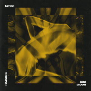 cover image of HALVING EP by LYRIC on ROOM TRAX