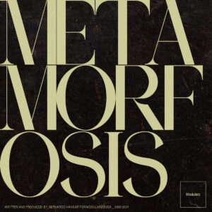 cover image of METAMORFOSIS by BERNARDO HANGAR on MODULARZ