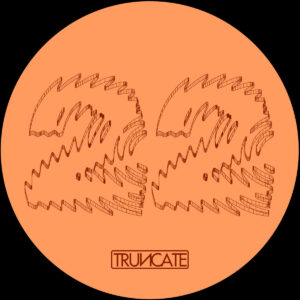 cover image of FIRST PHASE by TRUNCATE on TRUNCATE