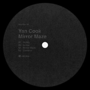 cover image of MIRROR MAZE by YAN COOK on DELSIN RECORDS