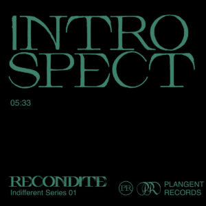 cover image of INDIFFERENT by RECONDITE on PLAGENT RECORDS