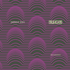 cover image of IN TIME by DISTANT SUN on TRUNCATE