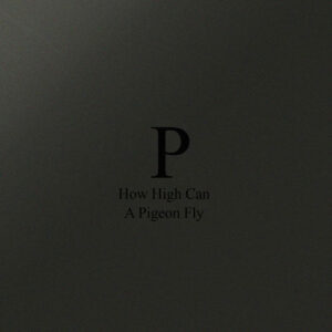 cover image of HOW HIGH CAN A PIGEON FLY by PHARA on PHAAAR