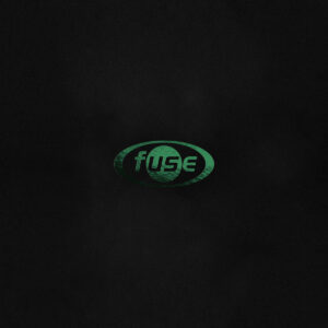 cover image of "30YRS Fuse Compilation" released on FUSE IMPRINT