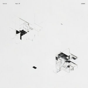 Cover image of RAAT EP by AMOTIK on DELSIN RECORDS