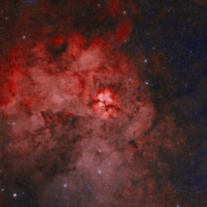 cover image of MUTABLE MINDS XI on MIND TRIP