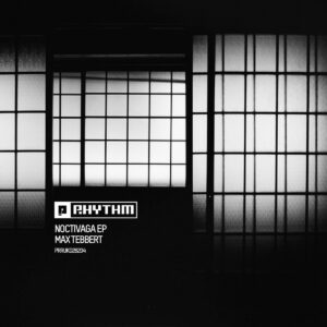 cover image of NOCTIVAGA EP by MAX TEBBERT released on PLANET RHYTHM