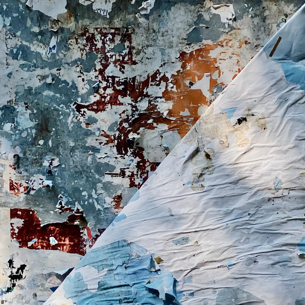 cover image of IPSO FACTO by KR!Z on TOKEN