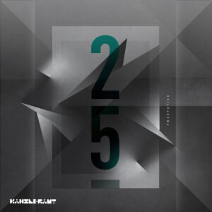 cover image of NONE THE WISER by HEIKO LAUX, JOEL MULL and RAY KAJiOKA released on KANZLERAMT