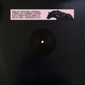 cover image of INFRAMUNDO EP by VINICIUS HONORIO released on KAZERNE