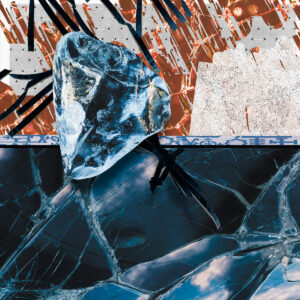 cover image of PRIME DIRECTIVE by PETER VAN HOESEN released on RECLAIM YOUR CITY